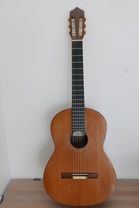 Guitare de luthier haut de gamme occasion Musique