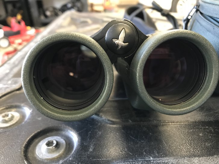 Jumelles Swarovski El ranger 10x42 Jumelles Swarovski El ranger 10x42 Sport & Outdoor