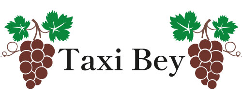 Taxi Bey Taxi Bey Antiquités