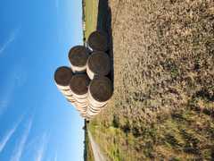 Foins année 2025
<br>Vendu à la tonne 
<br>