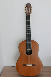 Guitare de luthier haut de gamme occasion