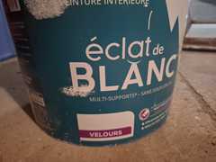 Peinture blanche (3 pots) et enduit pf3
<br>Tous à moitié plein