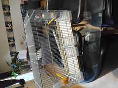 Bonjour je met a vendre  une grande cage pour oiseau 🐦 pour canerie  et exotique  avec tout acce